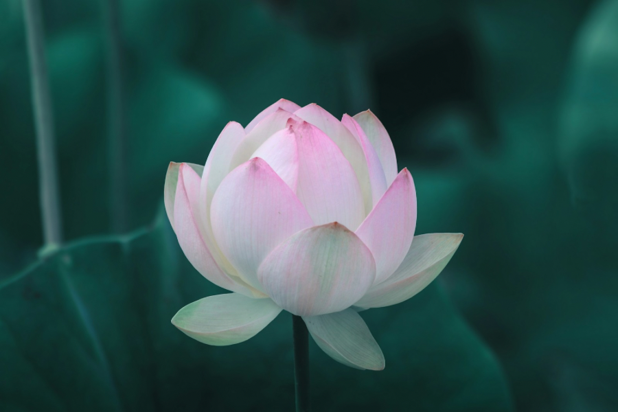 L’escale spirituelle